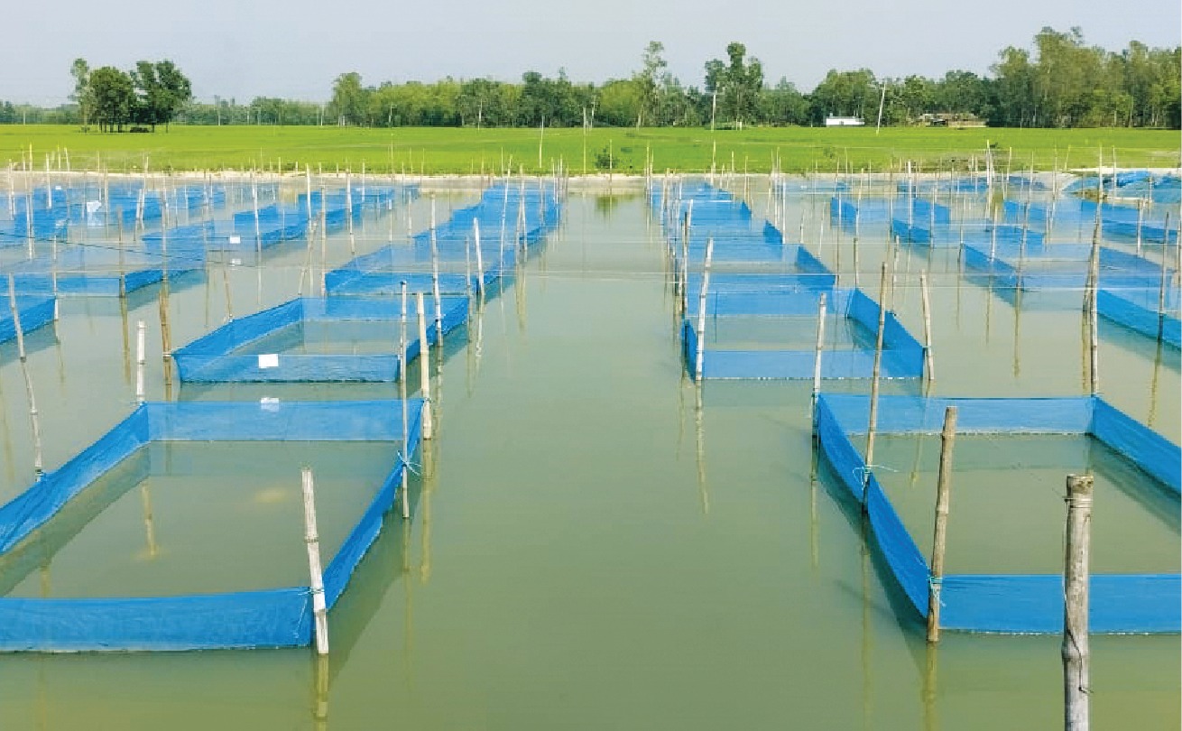 মৎস্য খামার