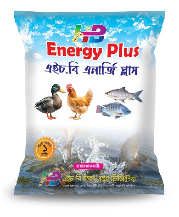 এইচবি এনার্জি প্লাস