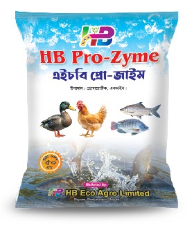 এইচবি প্রো-জাইম