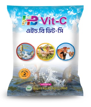 এইচবি ভিট-সি